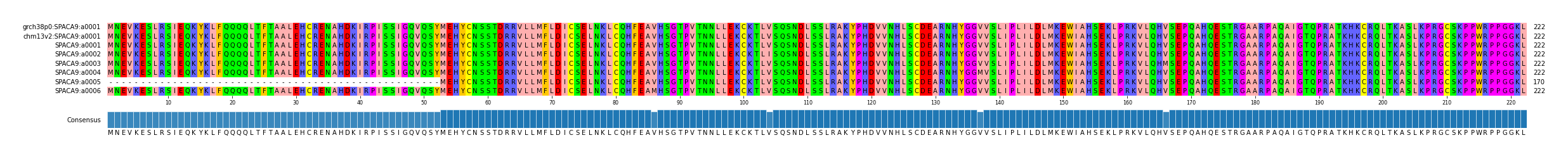 Multiple Alignments (by translate haplotype frequency)