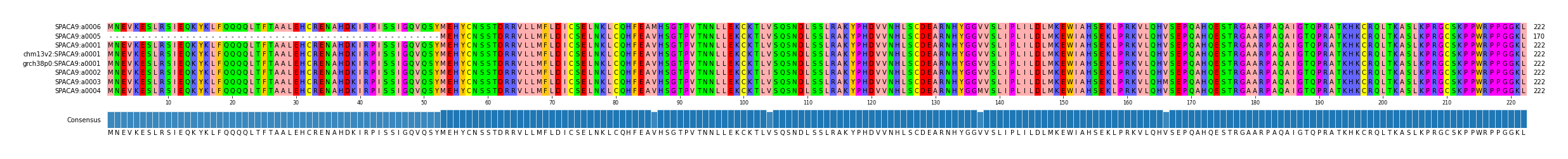 Multiple Alignments (by translate haplotype similarity)