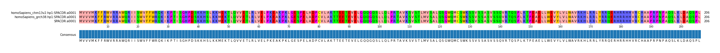 Multiple Alignments (by translate haplotype similarity)