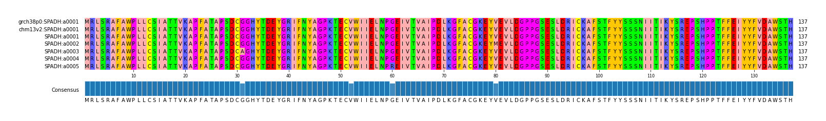Multiple Alignments (by translate haplotype frequency)
