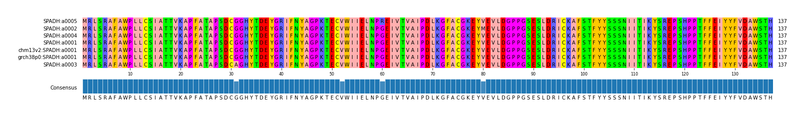 Multiple Alignments (by translate haplotype similarity)