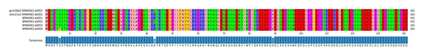 Multiple Alignments (by translate haplotype frequency)