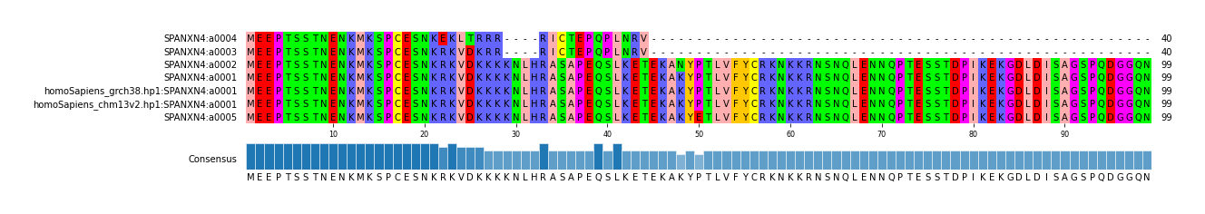 Multiple Alignments (by translate haplotype similarity)