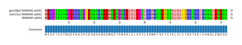 Multiple Alignments (by translate haplotype similarity)