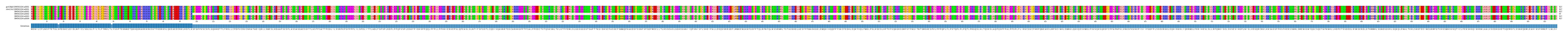 Multiple Alignments (by translate haplotype frequency)