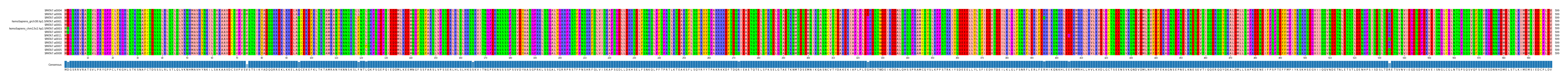 Multiple Alignments (by translate haplotype similarity)