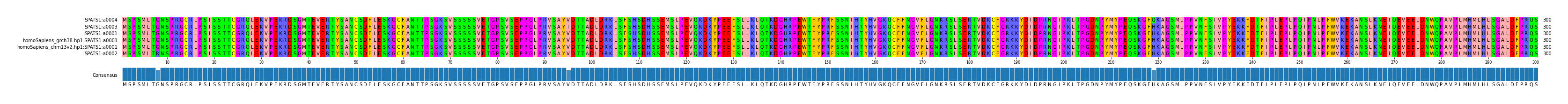 Multiple Alignments (by translate haplotype similarity)