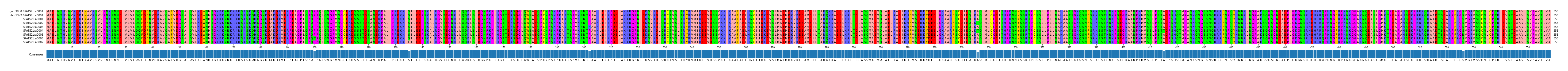 Multiple Alignments (by translate haplotype frequency)