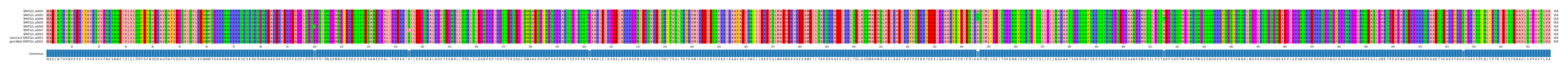 Multiple Alignments (by translate haplotype similarity)
