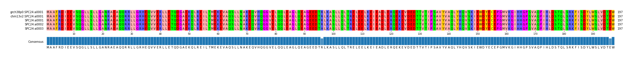 Multiple Alignments (by translate haplotype frequency)