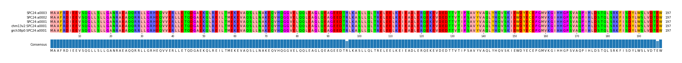 Multiple Alignments (by translate haplotype similarity)