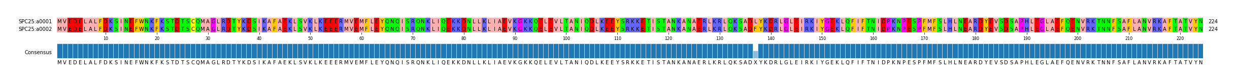 Multiple Alignments (by translate haplotype frequency)
