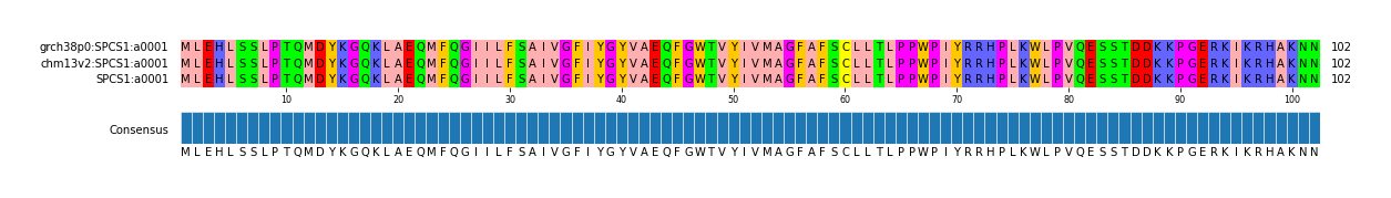 Multiple Alignments (by translate haplotype similarity)