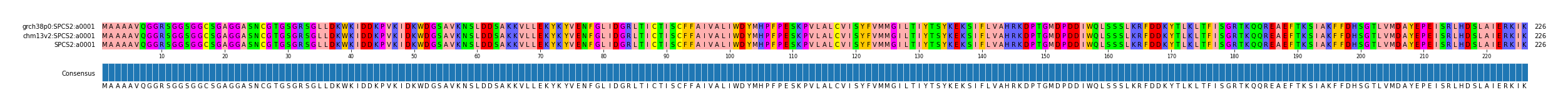 Multiple Alignments (by translate haplotype similarity)
