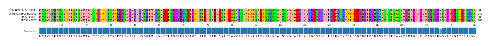 Multiple Alignments (by translate haplotype similarity)