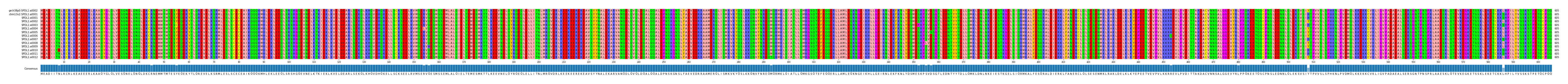 Multiple Alignments (by translate haplotype frequency)