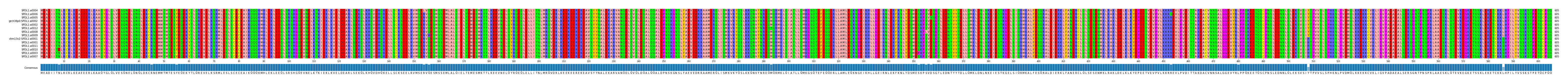 Multiple Alignments (by translate haplotype similarity)
