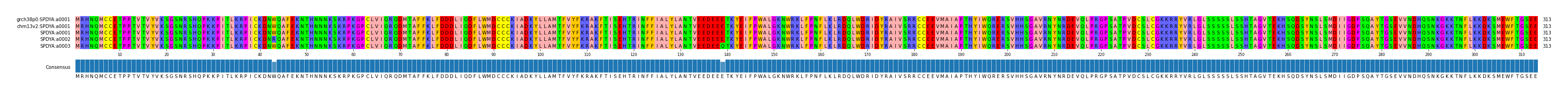 Multiple Alignments (by translate haplotype frequency)