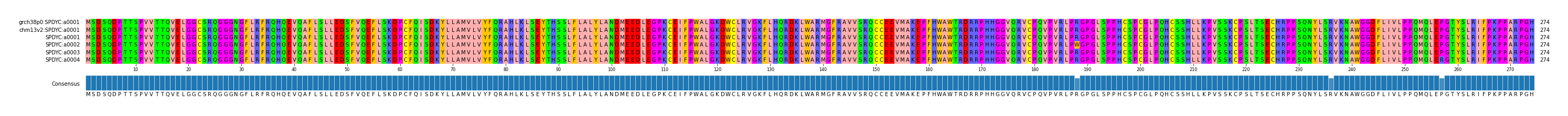 Multiple Alignments (by translate haplotype frequency)