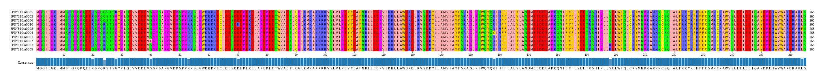 Multiple Alignments (by translate haplotype similarity)