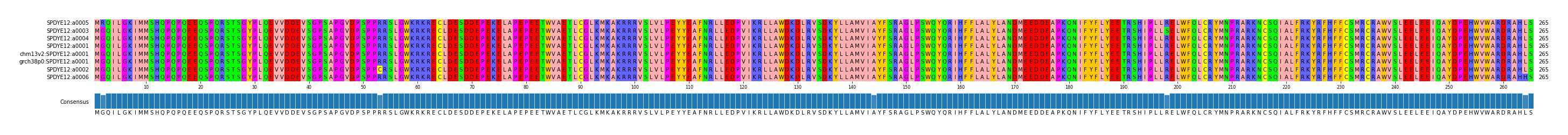 Multiple Alignments (by translate haplotype similarity)