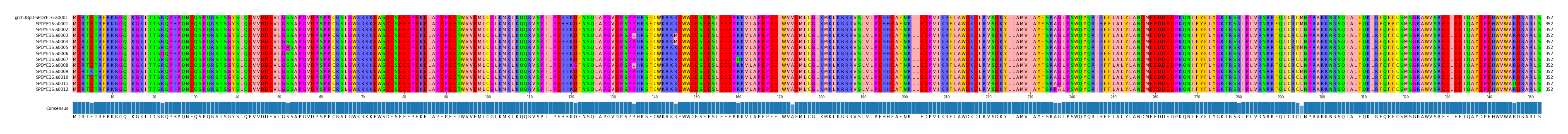 Multiple Alignments (by translate haplotype frequency)