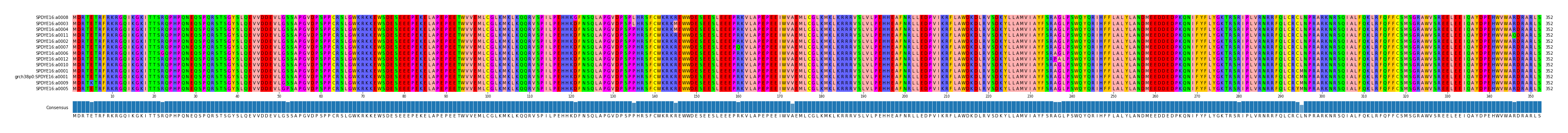 Multiple Alignments (by translate haplotype similarity)