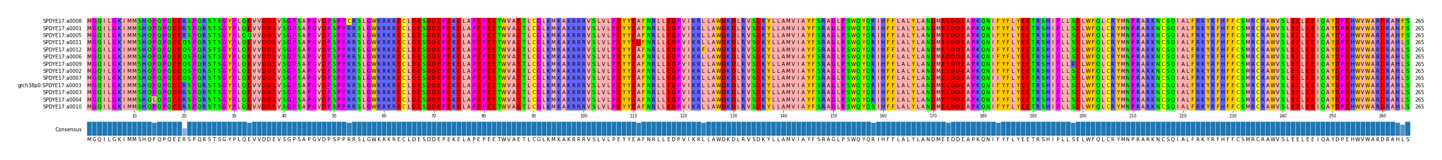 Multiple Alignments (by translate haplotype similarity)