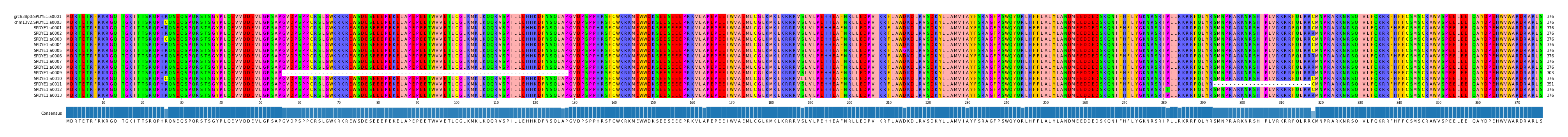 Multiple Alignments (by translate haplotype frequency)