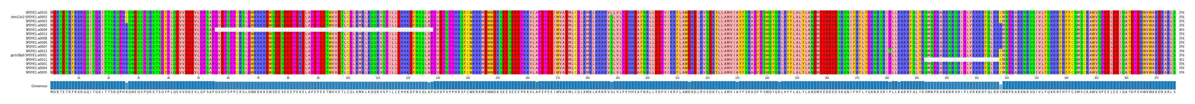 Multiple Alignments (by translate haplotype similarity)