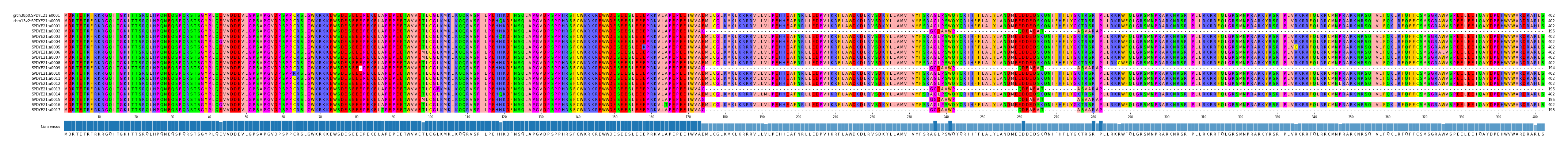 Multiple Alignments (by translate haplotype frequency)