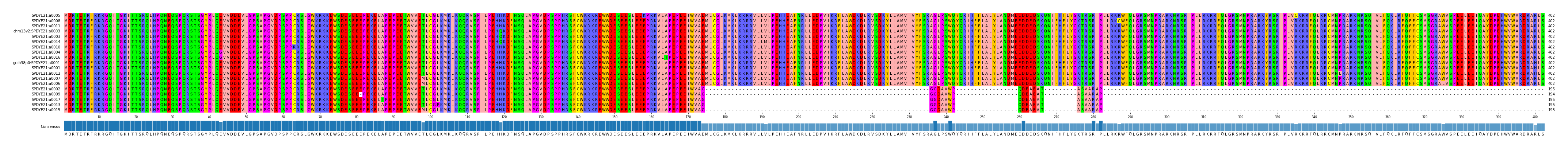 Multiple Alignments (by translate haplotype similarity)