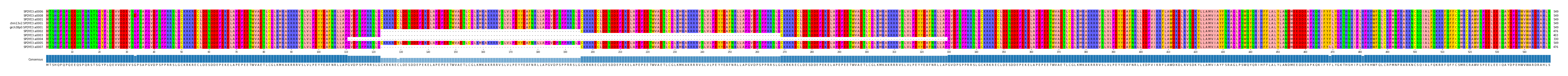 Multiple Alignments (by translate haplotype similarity)