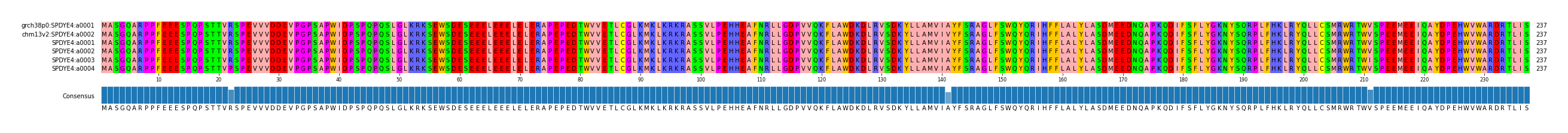 Multiple Alignments (by translate haplotype frequency)