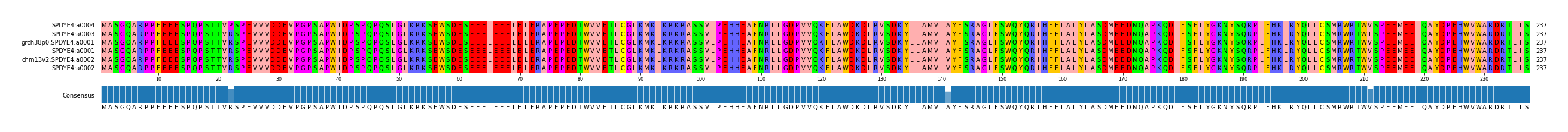 Multiple Alignments (by translate haplotype similarity)