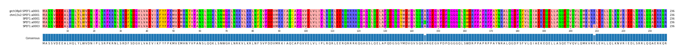 Multiple Alignments (by translate haplotype frequency)