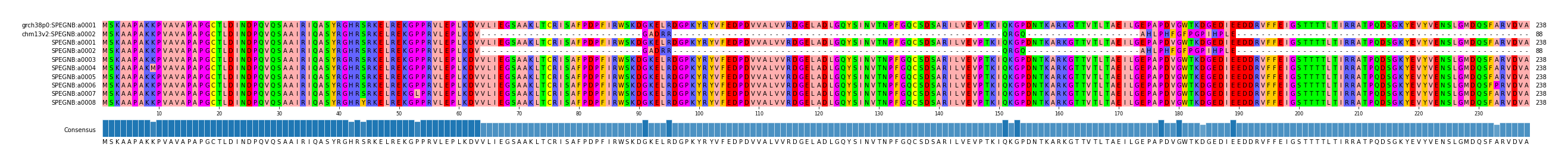 Multiple Alignments (by translate haplotype frequency)