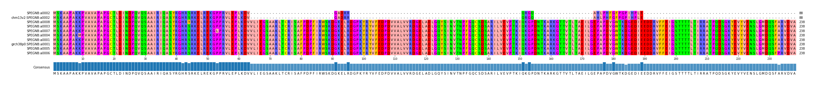 Multiple Alignments (by translate haplotype similarity)