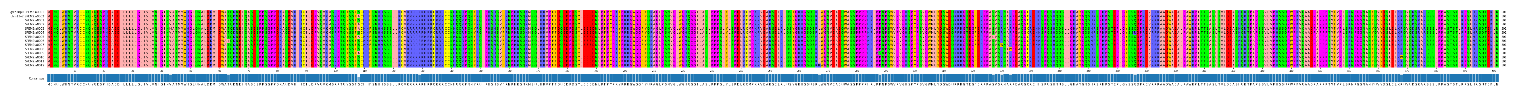 Multiple Alignments (by translate haplotype frequency)
