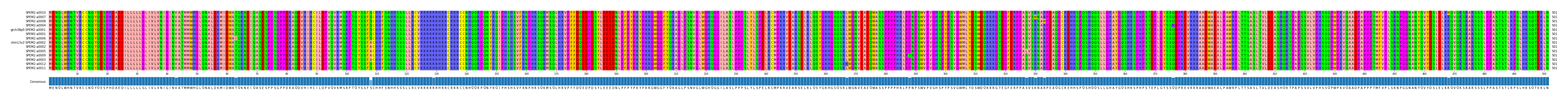 Multiple Alignments (by translate haplotype similarity)