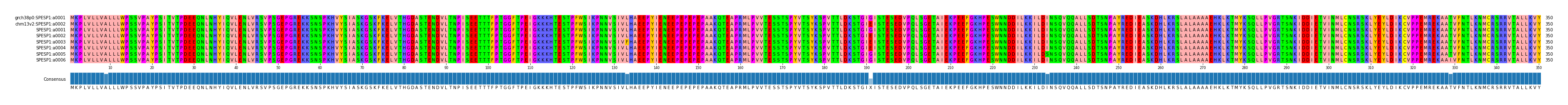 Multiple Alignments (by translate haplotype frequency)
