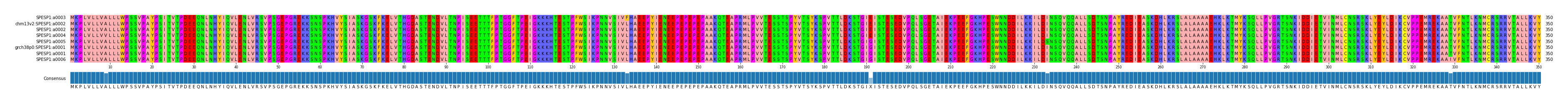 Multiple Alignments (by translate haplotype similarity)