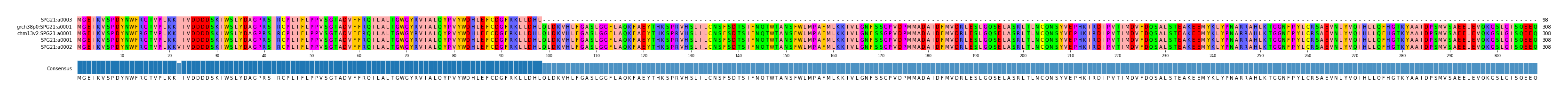 Multiple Alignments (by translate haplotype similarity)