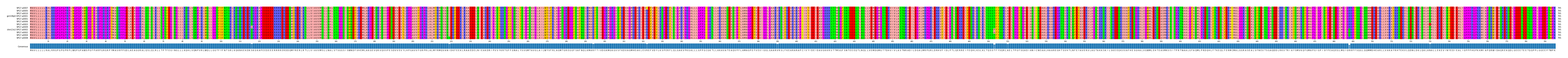 Multiple Alignments (by translate haplotype similarity)