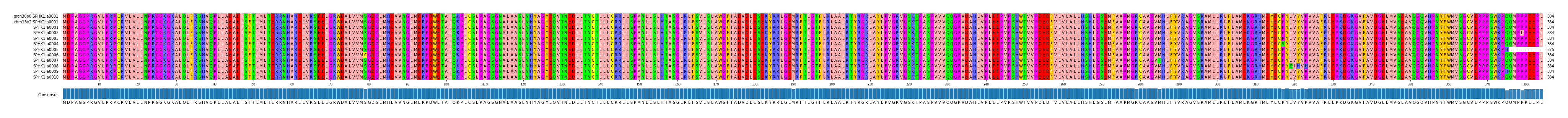 Multiple Alignments (by translate haplotype frequency)