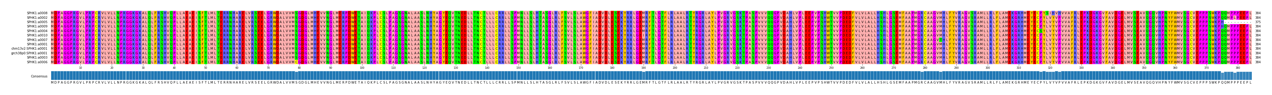 Multiple Alignments (by translate haplotype similarity)
