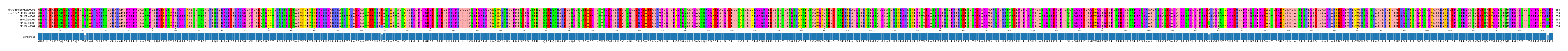 Multiple Alignments (by translate haplotype frequency)