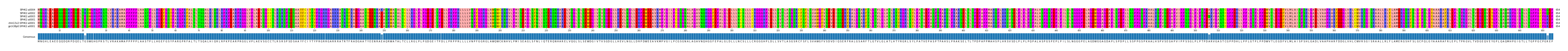 Multiple Alignments (by translate haplotype similarity)