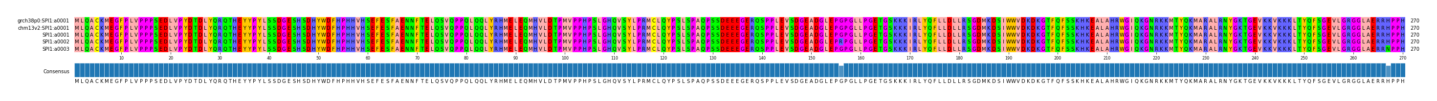Multiple Alignments (by translate haplotype frequency)