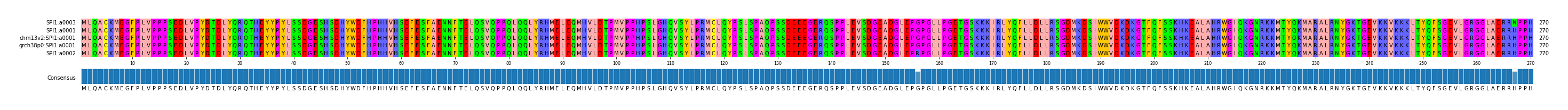 Multiple Alignments (by translate haplotype similarity)